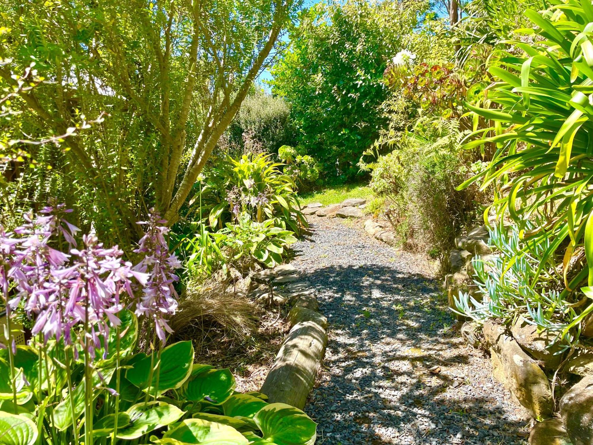 The Cove Cabin - Your Quiet Escape Dunedin Esterno foto